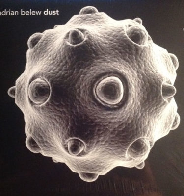 Adrian Belew Dust CD Cover