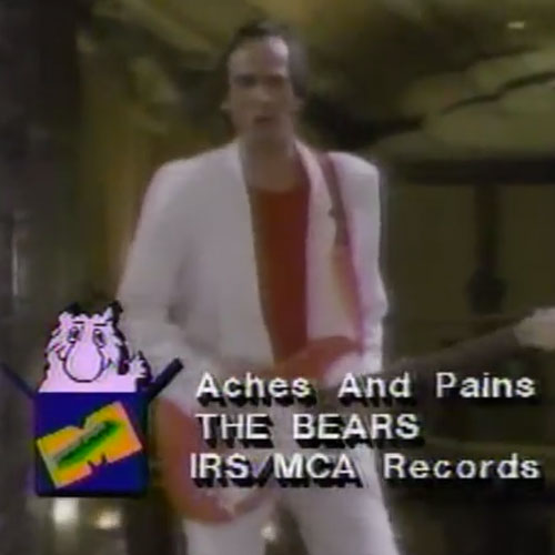 Video screenshot of The Bears