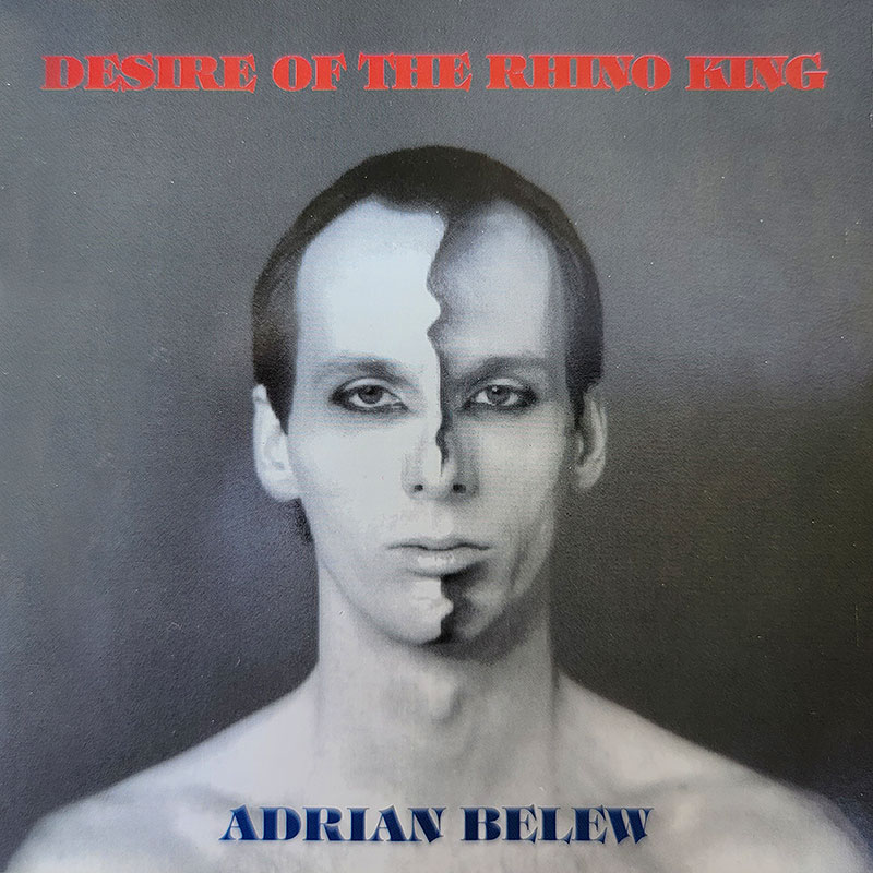 Adrian Belew Here cd cover